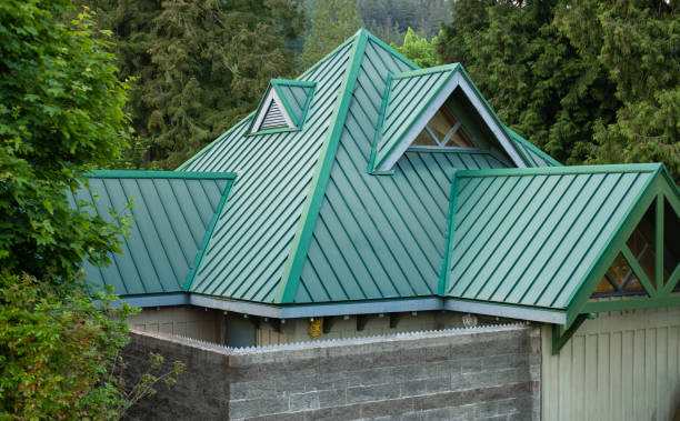 Best Solar Panel Roofing Installation  in Cedar Springs, MI