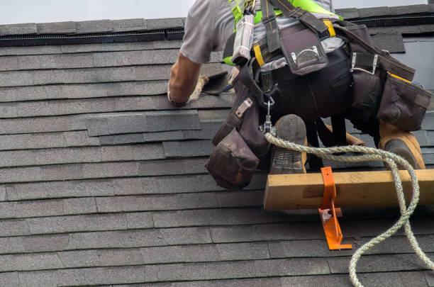 Fast & Reliable Emergency Roof Repairs in Cedar Springs, MI