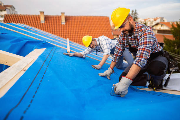 Best Storm Damage Roof Repair  in Cedar Springs, MI