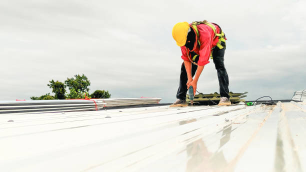 Best Roof Ventilation Installation  in Cedar Springs, MI