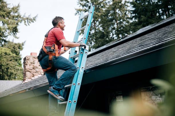 Trusted Cedar Springs, MI Roofing Experts