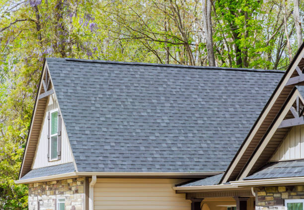 Best Commercial Roofing Services  in Cedar Springs, MI