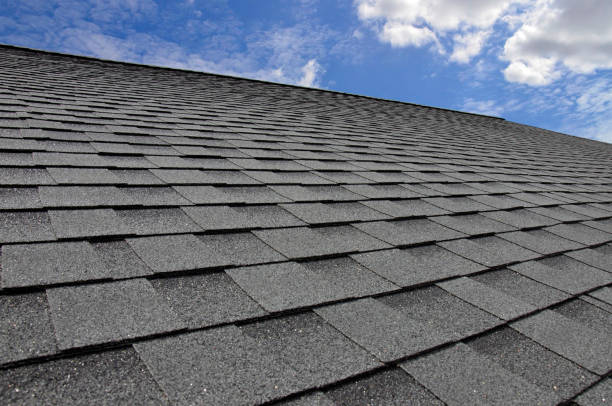 Best Roofing for New Construction  in Cedar Springs, MI